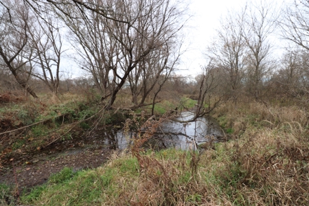 Farmstead with Serene River Views in Knox County, Oh 13.3 ac - image 3