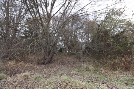 Farmstead with Serene River Views in Knox County, Oh 13.3 ac - image 15