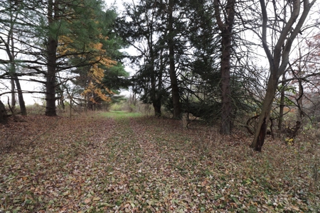 Farmstead with Serene River Views in Knox County, Oh 13.3 ac - image 17