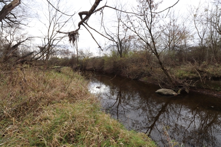 Farmstead with Serene River Views in Knox County, Oh 13.3 ac - image 5