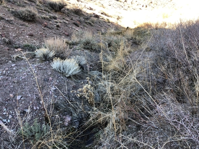 Nevada Recreational Hunting Mountain Property For Sale Reno - image 14