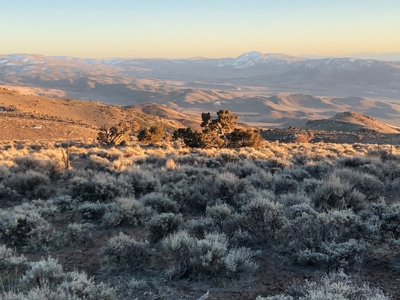 Nevada Recreational Hunting Mountain Property For Sale Reno - image 24