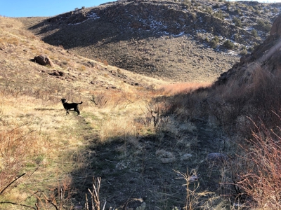 Nevada Recreational Hunting Mountain Property For Sale Reno - image 6