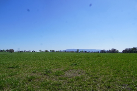 Oklahoma Country Building Site & Pasture For Sale - image 4