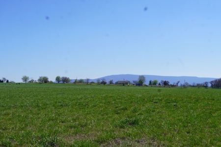 Oklahoma Country Building Site & Pasture For Sale - image 3