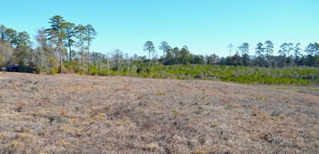 9.5 Acres of Rural Land for Sale in Pike County MS - image 2