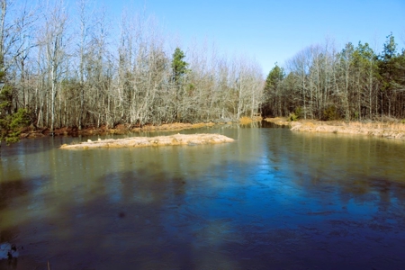 Prime 40-Acre Hunting Paradise with Home Potential! - image 16