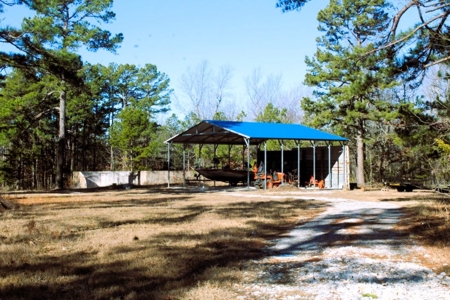 Prime 40-Acre Hunting Paradise with Home Potential! - image 10
