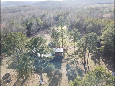 Prime 40-Acre Hunting Paradise with Home Potential! - image 36