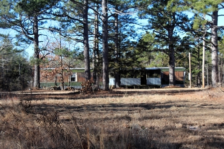 Prime 40-Acre Hunting Paradise with Home Potential! - image 12