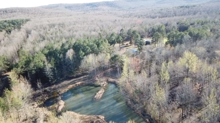 Prime 40-Acre Hunting Paradise with Home Potential! - image 40