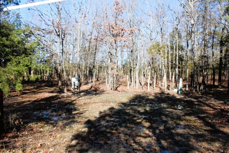 Prime 40-Acre Hunting Paradise with Home Potential! - image 22