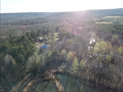 Prime 40-Acre Hunting Paradise with Home Potential! - image 42
