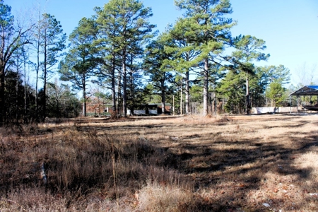 Prime 40-Acre Hunting Paradise with Home Potential! - image 13
