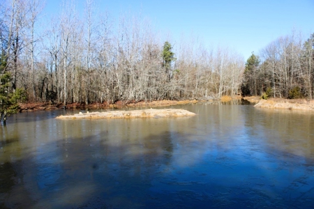 Prime 40-Acre Hunting Paradise with Home Potential! - image 18