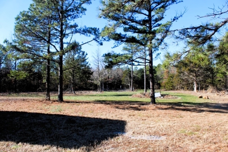 Prime 40-Acre Hunting Paradise with Home Potential! - image 20