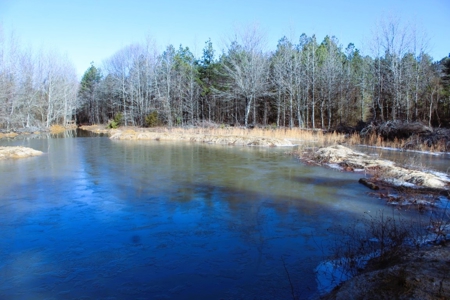Prime 40-Acre Hunting Paradise with Home Potential! - image 17
