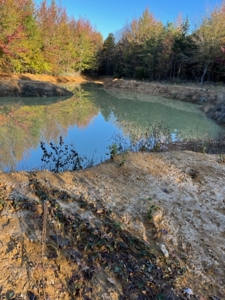 Prime 40-Acre Hunting Paradise with Home Potential! - image 35