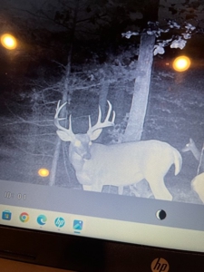 Prime 40-Acre Hunting Paradise with Home Potential! - image 4