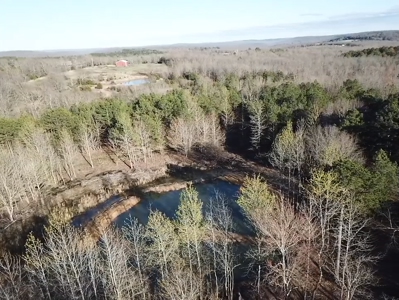 Prime 40-Acre Hunting Paradise with Home Potential! - image 45
