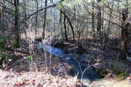 Prime 40-Acre Hunting Paradise with Home Potential! - image 29