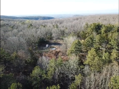 Prime 40-Acre Hunting Paradise with Home Potential! - image 44