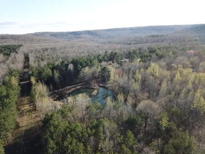 Prime 40-Acre Hunting Paradise with Home Potential! - image 39
