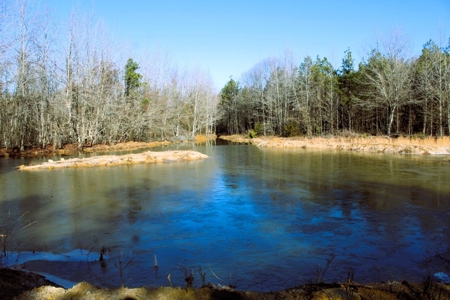 Prime 40-Acre Hunting Paradise with Home Potential! - image 15