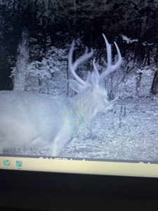 Prime 40-Acre Hunting Paradise with Home Potential! - image 6