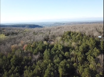 Prime 40-Acre Hunting Paradise with Home Potential! - image 43