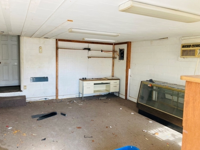 Fixer-Upper Home For Sale In Calico Rock, Arkansas - image 6