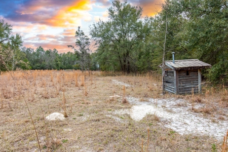 Land For Sale In O'brien Florida!!! - image 28