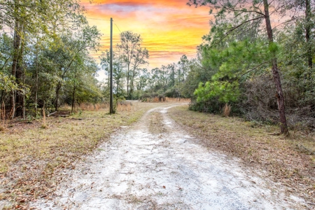 Land For Sale In O'brien Florida!!! - image 4