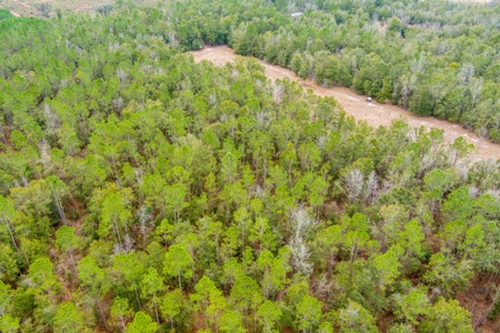 Land For Sale In O'brien Florida!!! - image 36