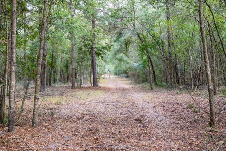Land For Sale In O'brien Florida!!! - image 22