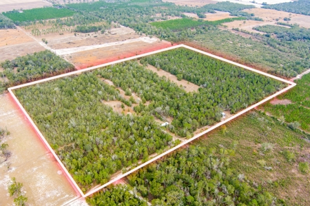 Land For Sale In O'brien Florida!!! - image 30