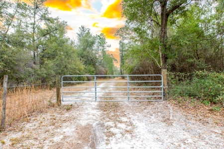 Land For Sale In O'brien Florida!!! - image 29