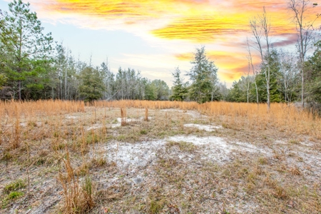Land For Sale In O'brien Florida!!! - image 19