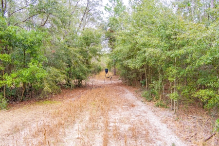 Land For Sale In O'brien Florida!!! - image 40