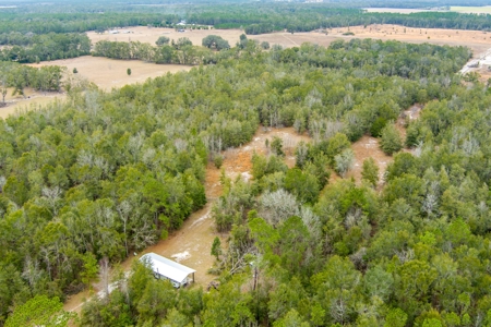 Land For Sale In O'brien Florida!!! - image 39
