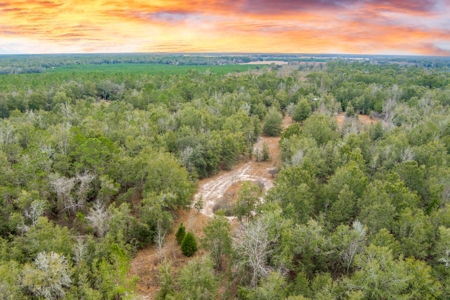 Land For Sale In O'brien Florida!!! - image 32