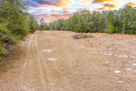 Land For Sale In O'brien Florida!!! - image 44