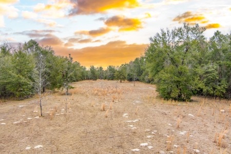 Land For Sale In O'brien Florida!!! - image 42