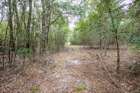 Land For Sale In O'brien Florida!!! - image 20