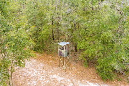 Land For Sale In O'brien Florida!!! - image 35