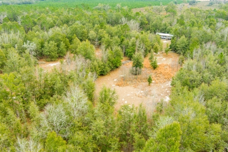 Land For Sale In O'brien Florida!!! - image 33