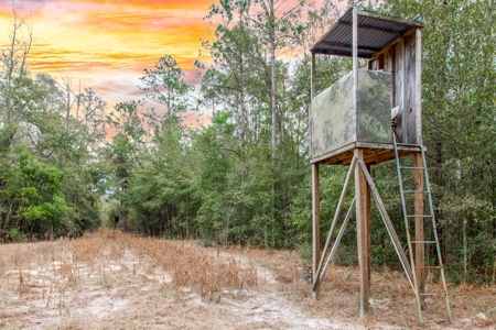 Land For Sale In O'brien Florida!!! - image 24
