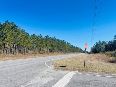 5.02 Acres Beauitful Lot In Rurual North Central Florida - image 7