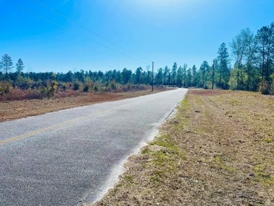 5.02 Acres Beauitful Lot In Rurual North Central Florida - image 5
