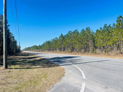 5.02 Acres Beauitful Lot In Rurual North Central Florida - image 6